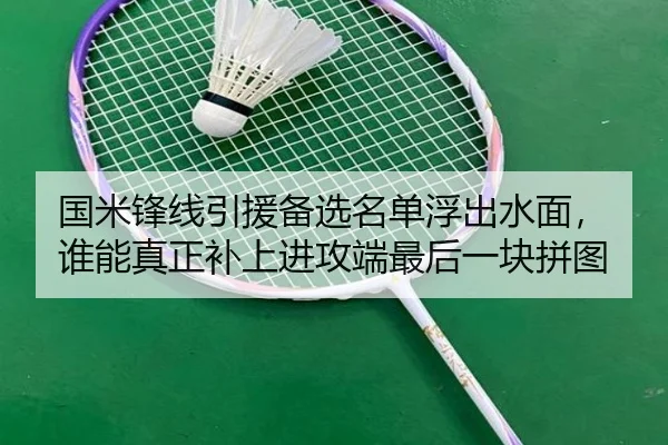 国米锋线引援备选名单浮出水面，谁能真正补上进攻端最后一块拼图